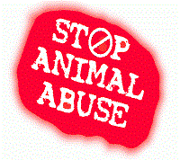 animal-cruelity